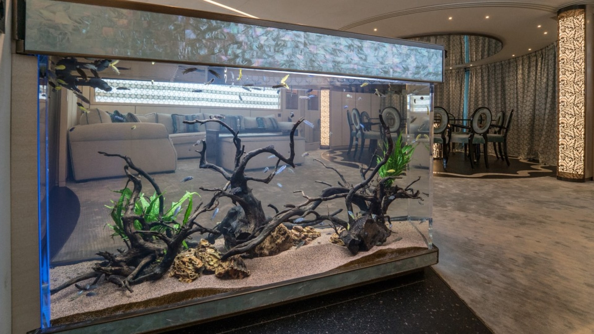Aquarium Designer Luxury Bespoke Aquariums Aquarium Maintenance