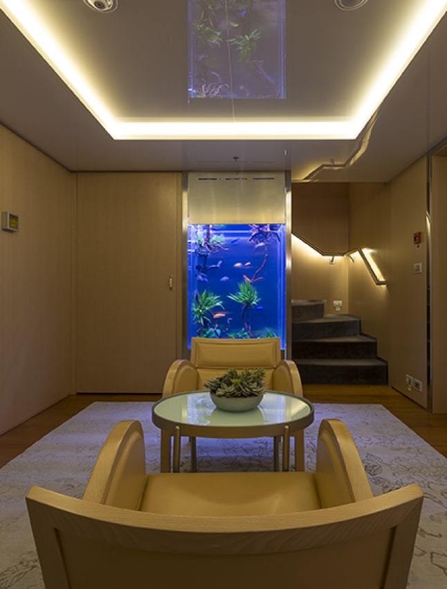 "Oh, you can’t put in an aquarium on a supermassive yacht"