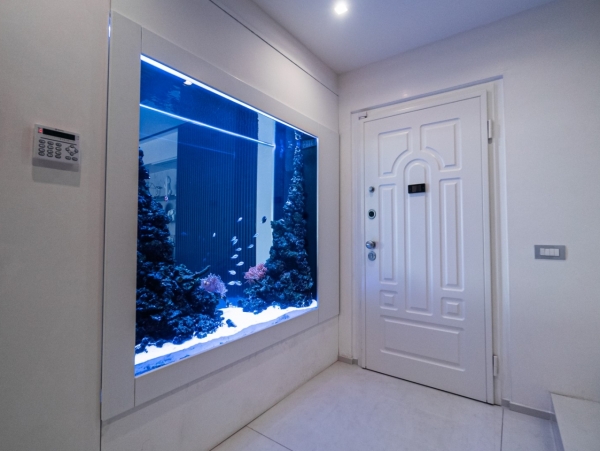 luxury-aquarium