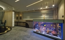 Saltwater Aquarium